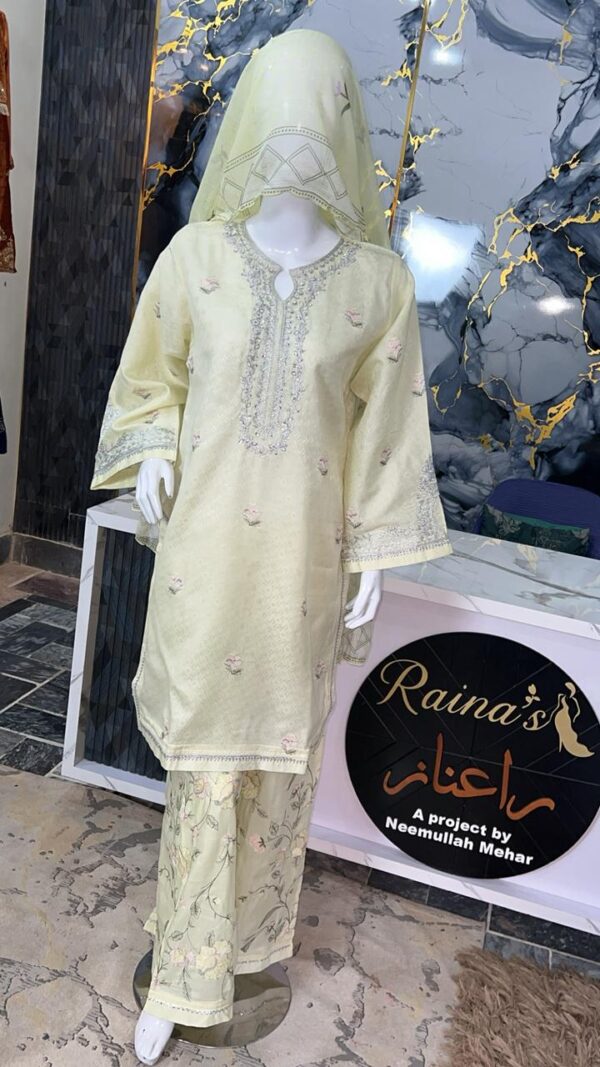 3 Piece Suit (stitched) Fabric/ Lawn