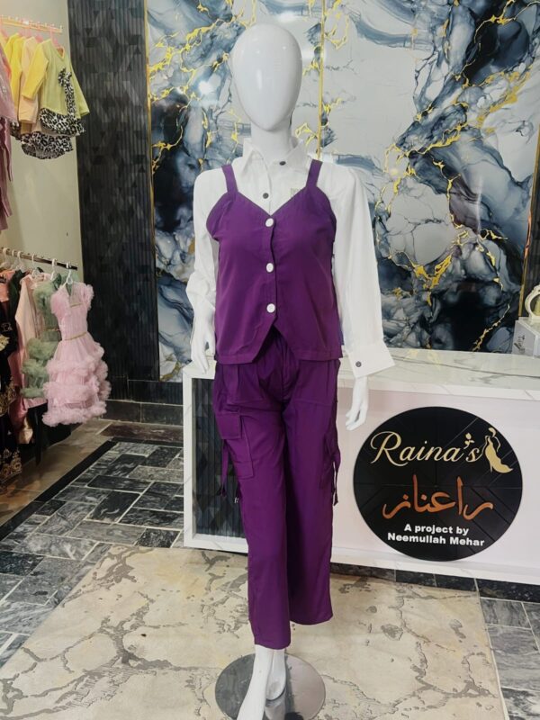 3 piece dress  western collection Raina's